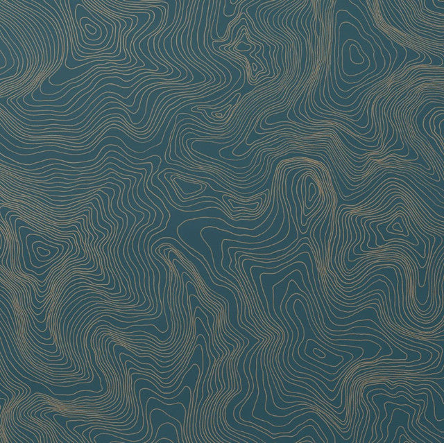 Contour Wallcovering by Makelike - Gold on Blue