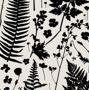 Forage Wallcovering by Makelike - Black on Partchment
