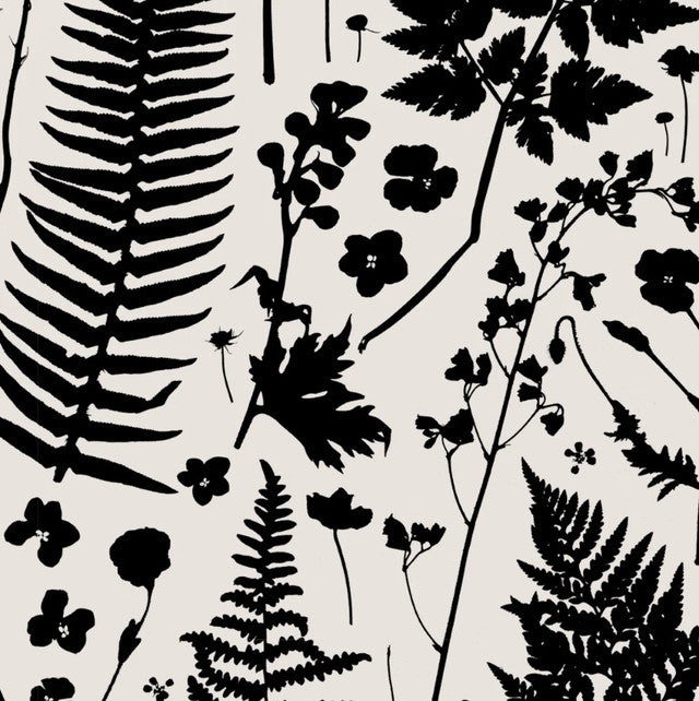 Forage Wallcovering by Makelike - Black on Partchment
