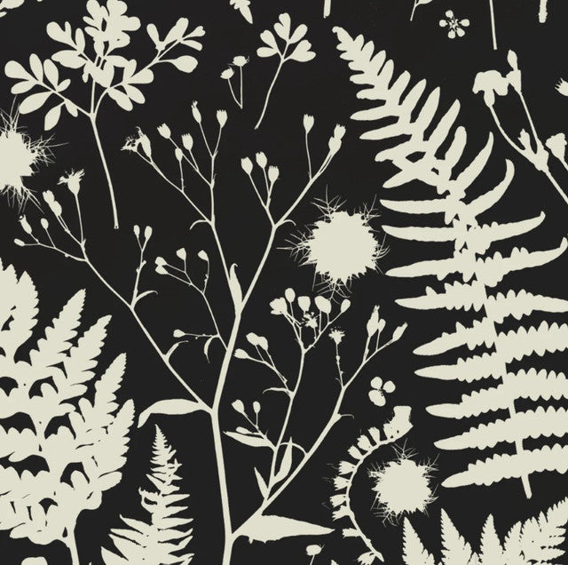 Forage Wallcovering by Makelike - Parchment on Black