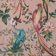 Bird Sonnet Wallcovering by Maxwell - Blush