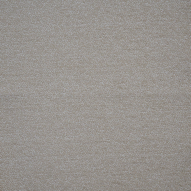 dolcetto-fabric-by-maxwell-temp - Buff