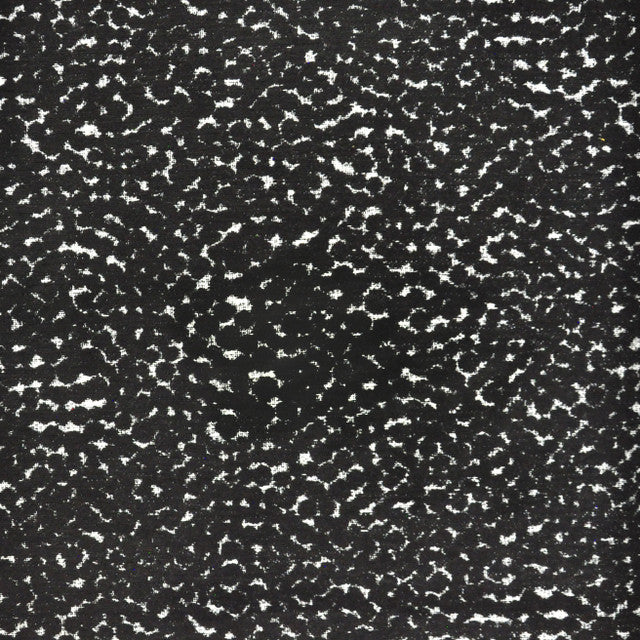 Gumdrop Fabric by Maxwell - Dalmatian