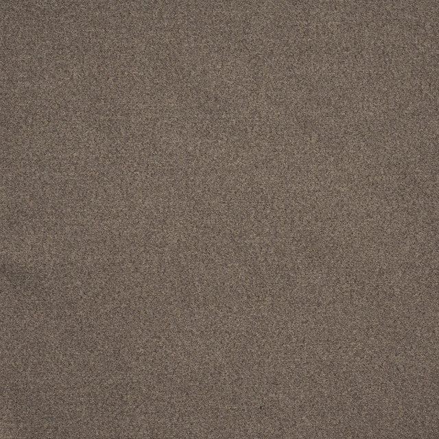melton-fabric-by-maxwell-temp - Ash