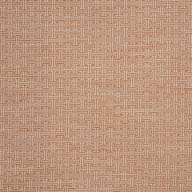 yorkville-fabric-by-maxwell-temp - Grapefruit
