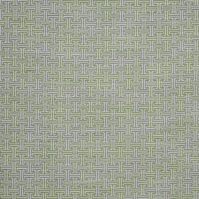 yorkville-fabric-by-maxwell-temp - Absinthe
