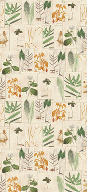 9WA112 Limonium BD Wallcovering by Vervain - Document 01