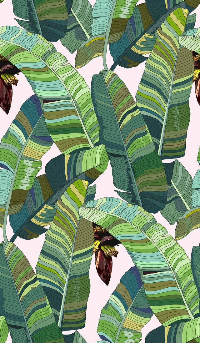 Banana Palm Dream Wallcovering by Merenda Wallpaper - Walt Whitman