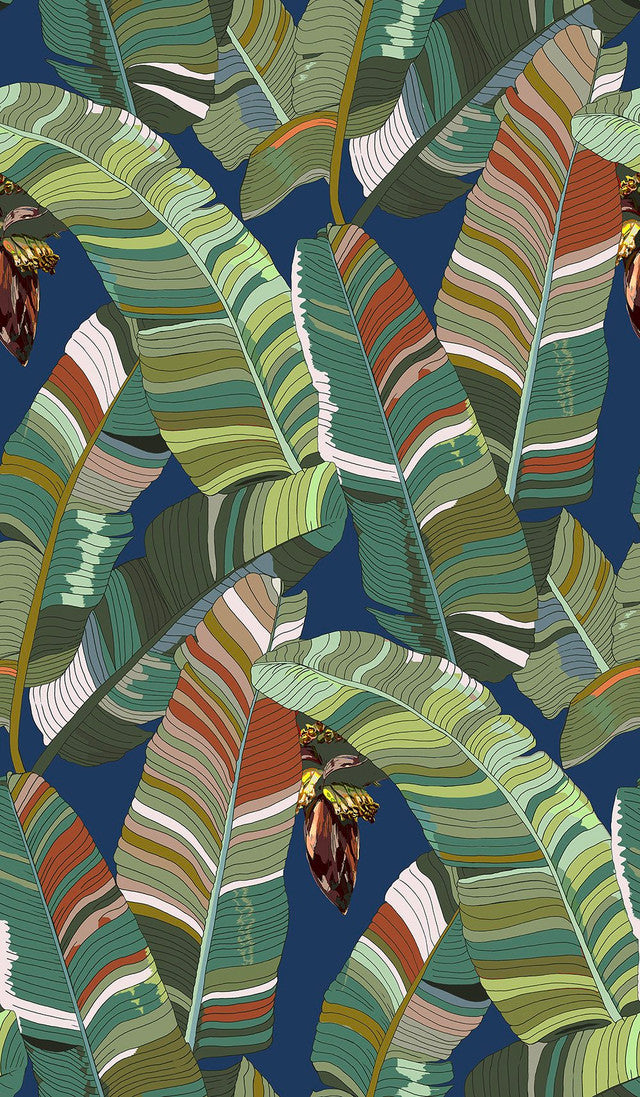 Banana Palm Dream Wallcovering by Merenda Wallpaper - Bahama Mama