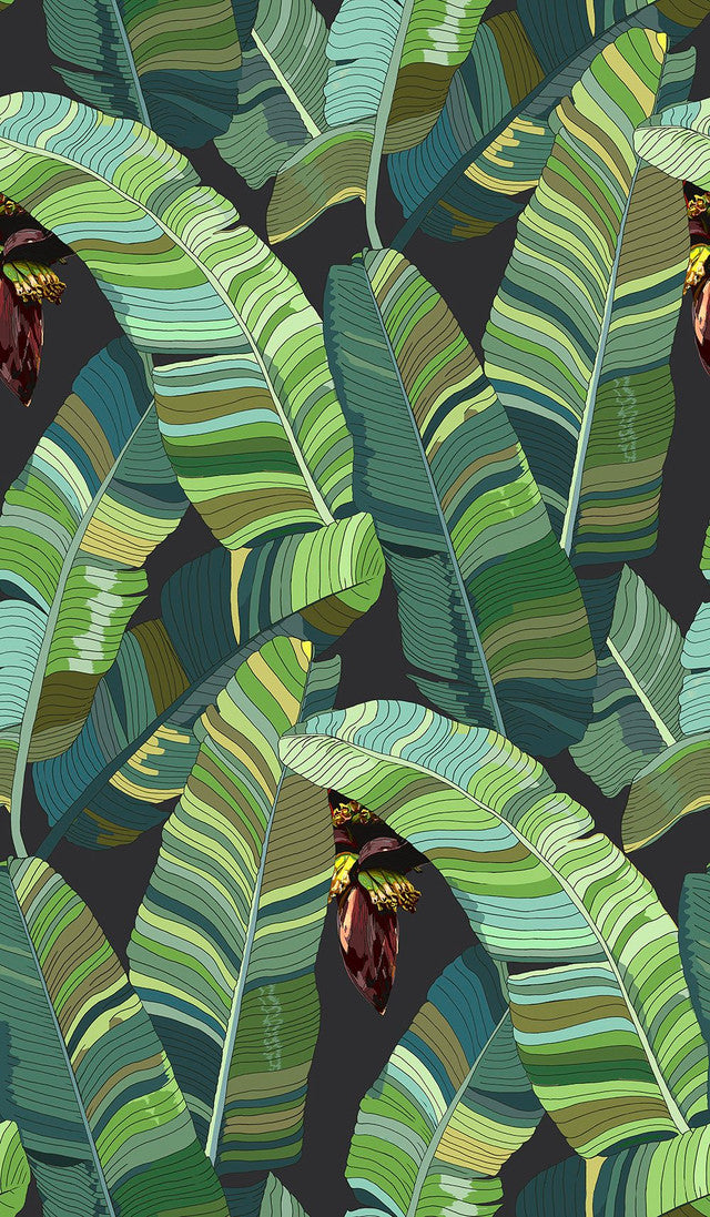Banana Palm Dream Wallcovering by Merenda Wallpaper - Mercedes