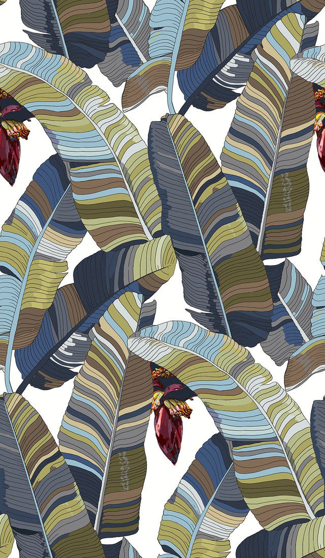 Banana Palm Dream Wallcovering by Merenda Wallpaper - William