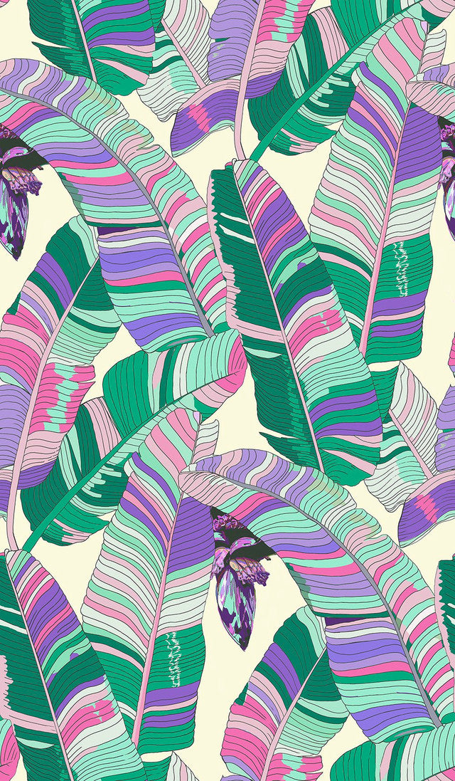 Banana Palm Dream Wallcovering by Merenda Wallpaper - Brittany