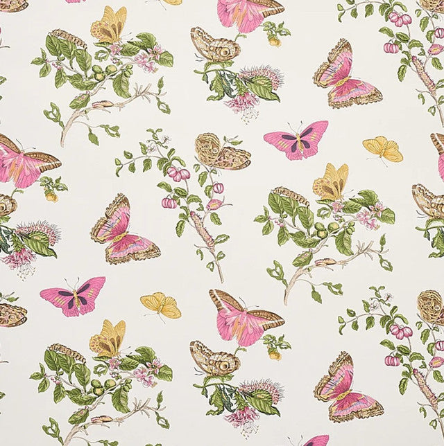 Baudin Butterfly Wallcovering by Schumacher - Blush