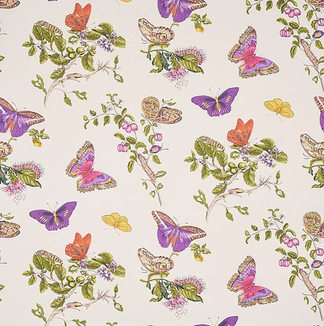 Baudin Butterfly Wallcovering by Schumacher - Purple