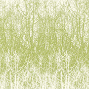 Birches Wallcovering by Schumacher - Leaf/White