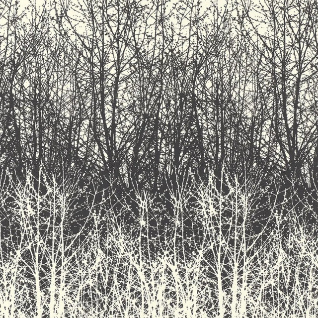 Birches Wallcovering by Schumacher - Black/White