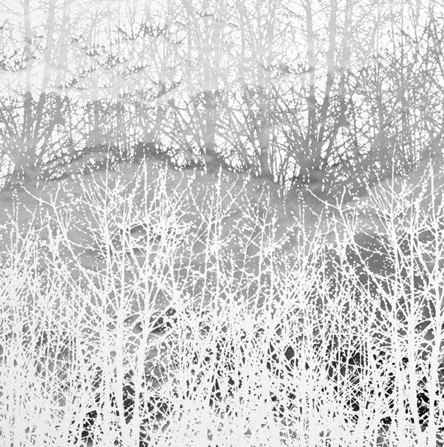Birches Wallcovering by Schumacher - Silver