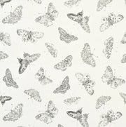 Burnell Butterfly Wallcovering by Schumacher - Ivory