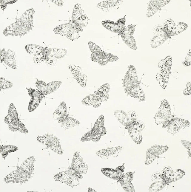 Burnell Butterfly Wallcovering by Schumacher - Ivory