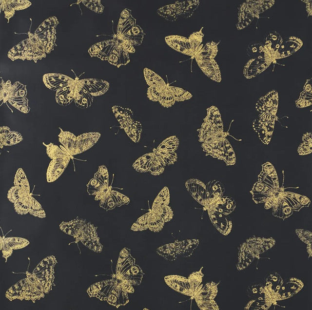 Burnell Butterfly Wallcovering by Schumacher - Black