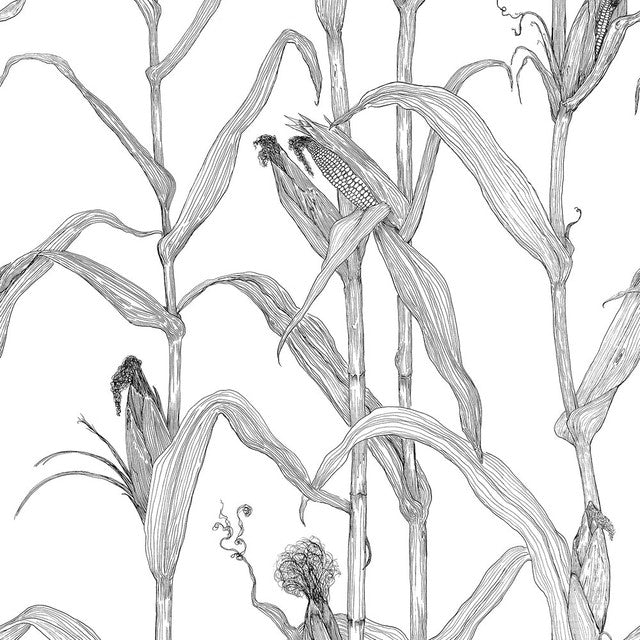 Corn Rows Wallcovering by Merenda Wallpaper - Black on White