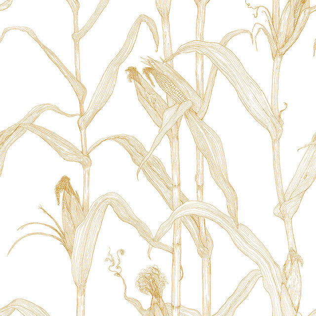 Corn Rows Wallcovering by Merenda Wallpaper - Harvest
