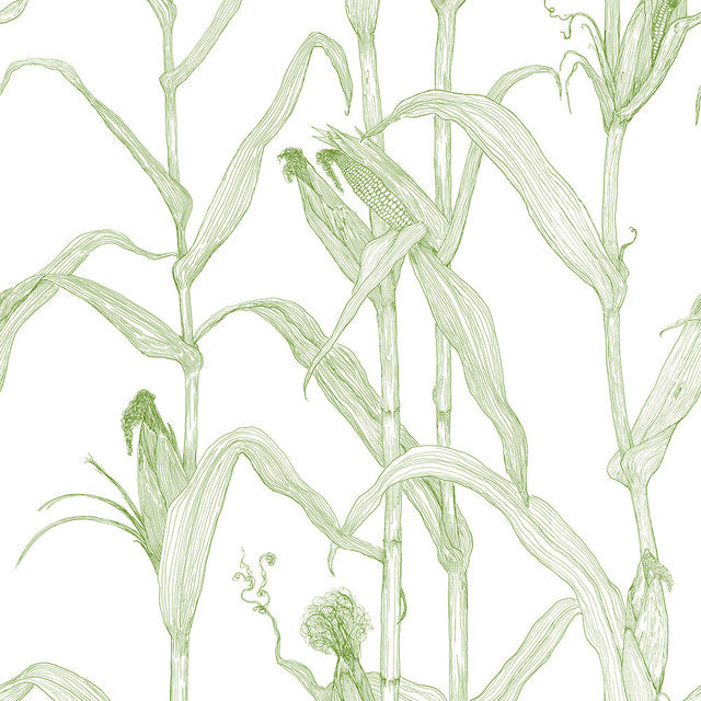 Corn Rows Wallcovering by Merenda Wallpaper - Summer Green