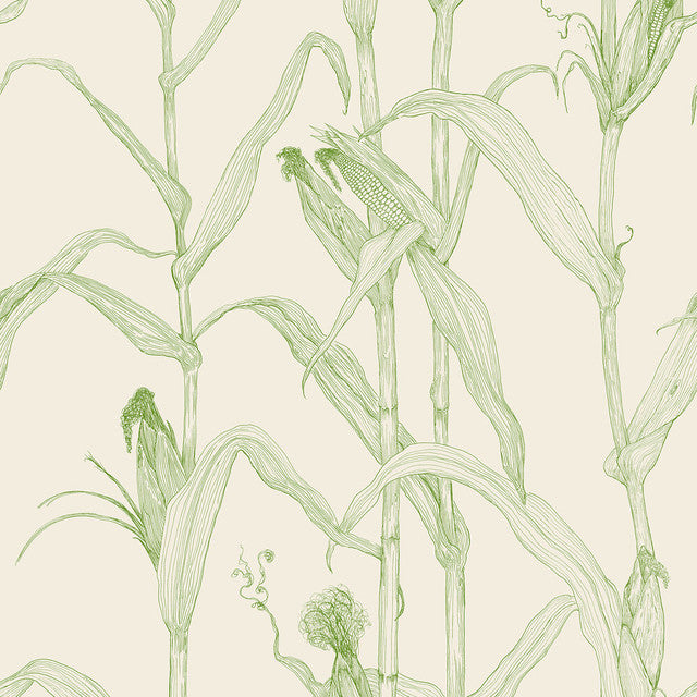 Corn Rows Wallcovering by Merenda Wallpaper - Summer Green on Cream