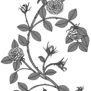 Elva Rose Wallcovering by Merenda Wallpaper - Greyscale