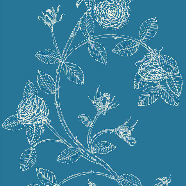 Elva Rose Wallcovering by Merenda Wallpaper - Blue Print