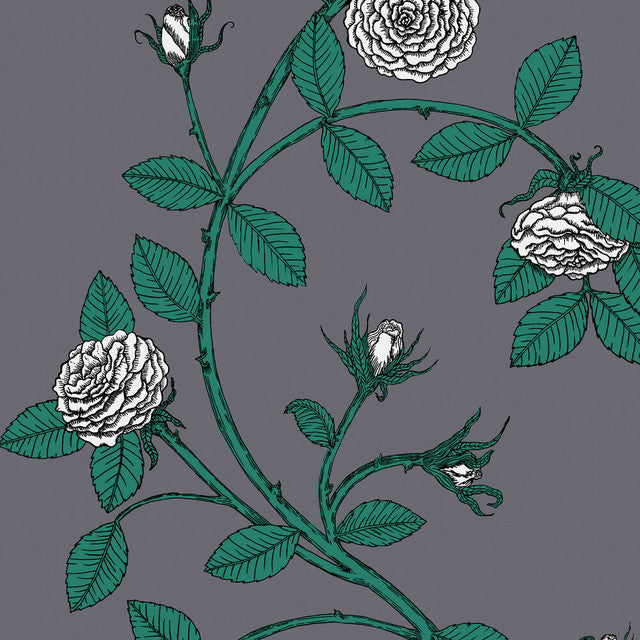Elva Rose Wallcovering by Merenda Wallpaper - Moonlit