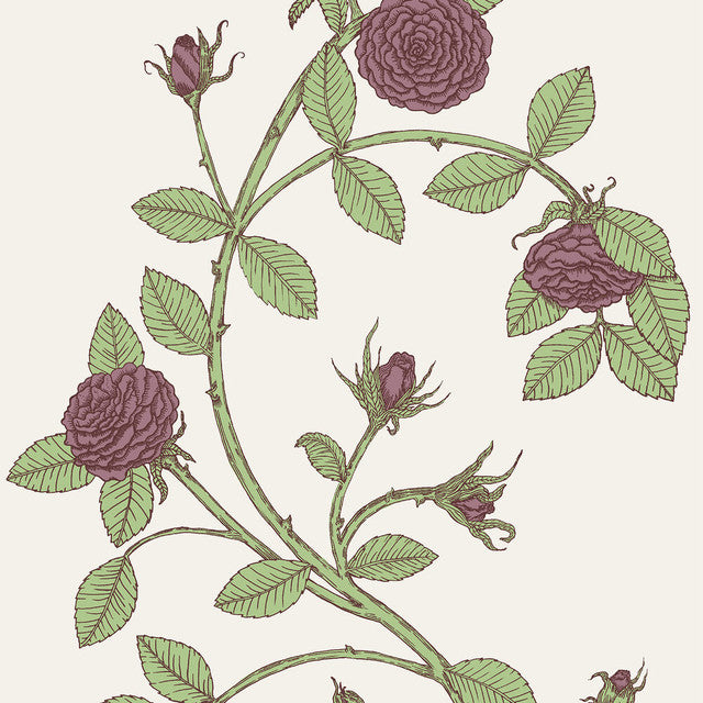 Elva Rose Wallcovering by Merenda Wallpaper - Secret Garden