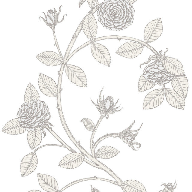 Elva Rose Wallcovering by Merenda Wallpaper - Serenity