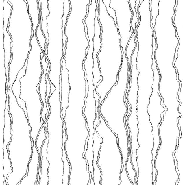 Fault Lines Wallcovering by Merenda Wallpaper - Black