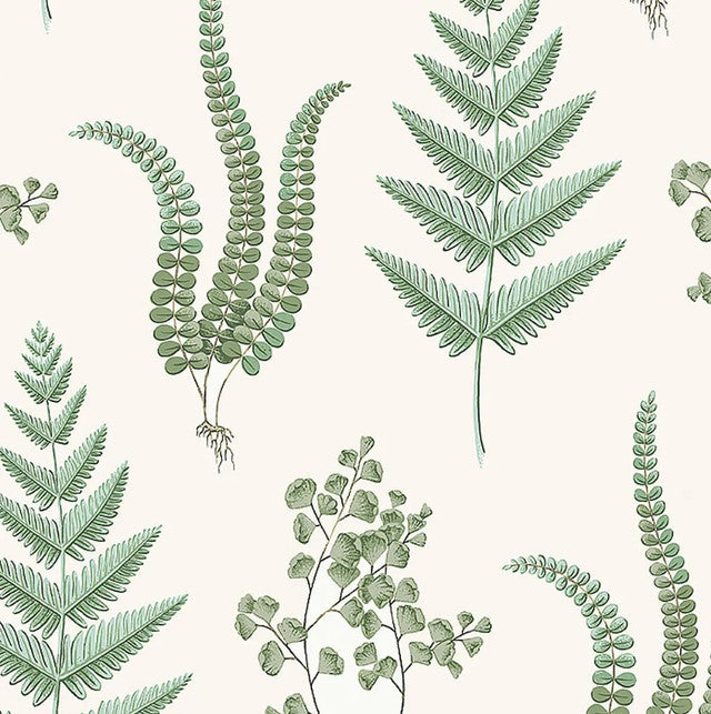 Herba Wallcovering by Schumacher - Leaf