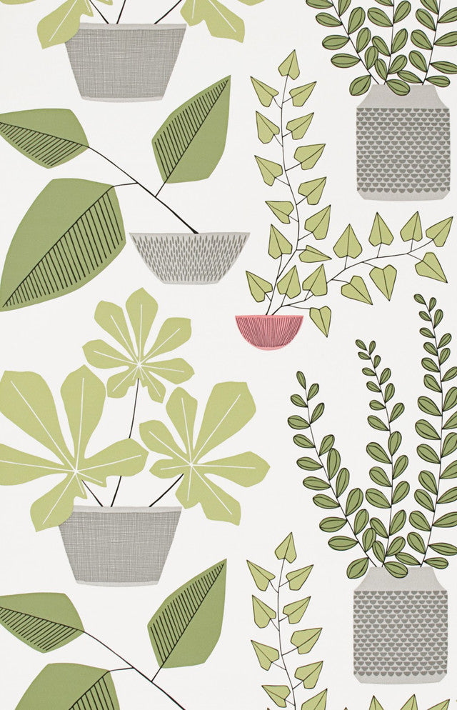 House Plants Wallcovering by MissPrint - Olive