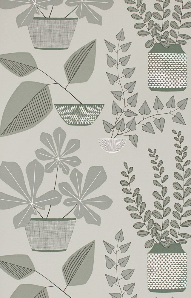 House Plants Wallcovering by MissPrint - Brampton