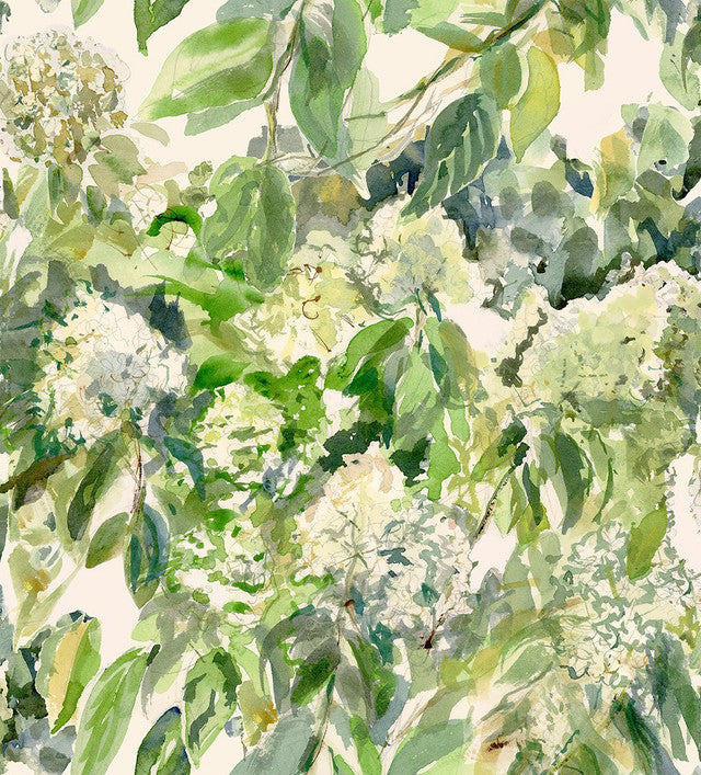 Hydrangea Garden Wallcovering by Merenda Wallpaper - Lime Light