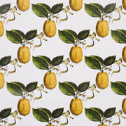 Le Citron Wallcovering by Schumacher - Ivory