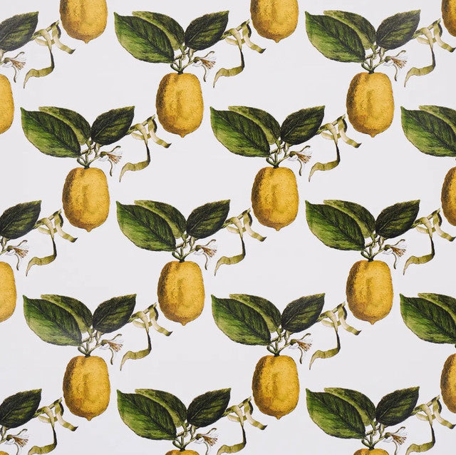 Le Citron Wallcovering by Schumacher - Ivory