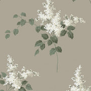 Lilacs Wallcovering by Schumacher - Grisaille