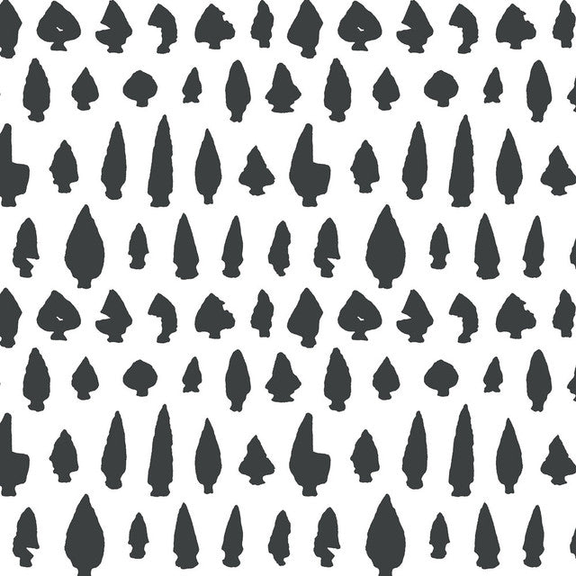 New York Arrowheads Wallcovering by Merenda Wallpaper - Charcoal on White
