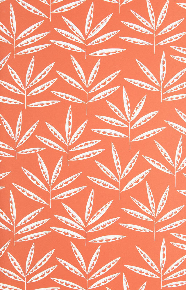 Pea Pods Wallcovering by MissPrint - Terracotta