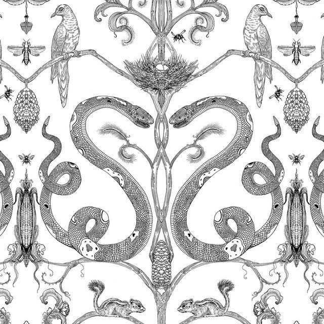 Snake Party Wallcovering by Merenda Wallpaper - Black on White