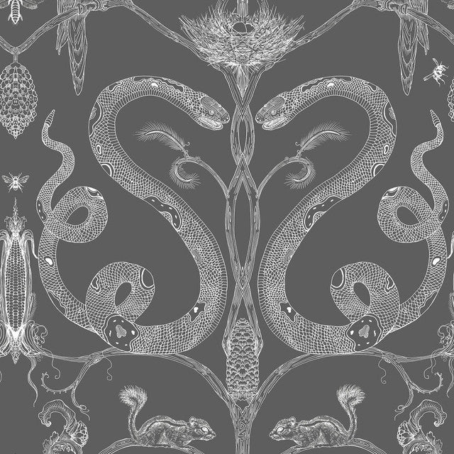 Snake Party Wallcovering by Merenda Wallpaper - White on Charcoal Grey