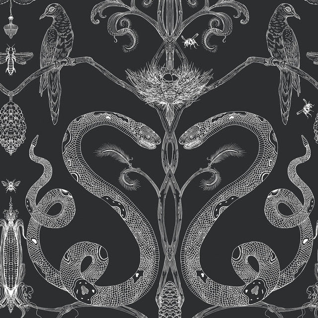 Snake Party Wallcovering by Merenda Wallpaper - White on Eclipse