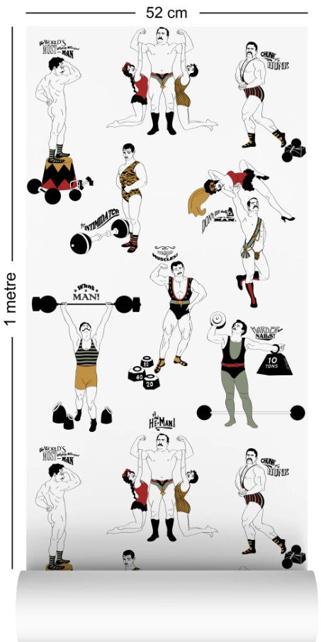 Strongman Wallcovering by Dupenny - Colour