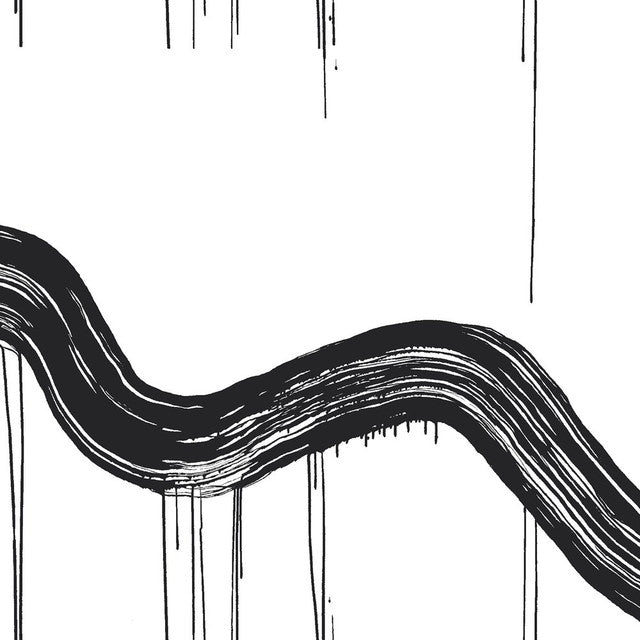 Suncatcher Wallcovering by Merenda Wallpaper - Black Stalion