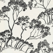Timber ! Wallcovering by Schumacher - Black & White