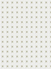 05269 Fabric by Trend - Natural